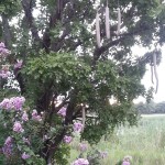 IMG-20160223-WA0000